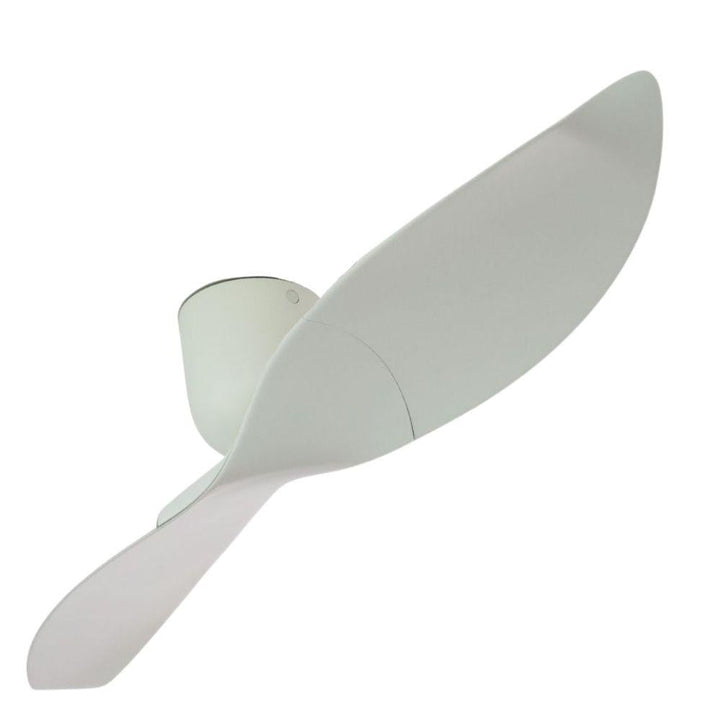 Aeratron AE2+-60 - 2 Blade 1524mm 60" DC Ceiling Fan-Aeratron-Ozlighting.com.au