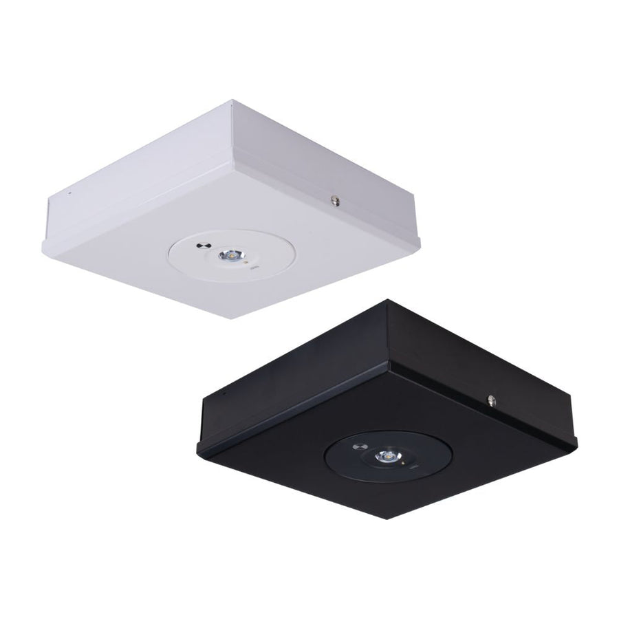 Domus EVAC-D63-SM - 3.5W LED D63 Non-Maintained Surface Mounted Emergency Light-Domus Lighting-Ozlighting.com.au