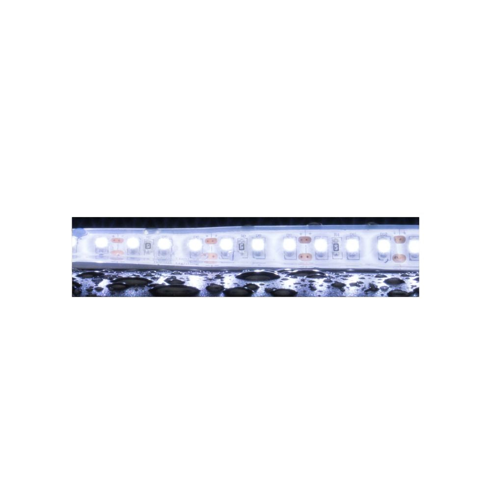 Domus STRIP-120-WP-5M - 10W LED High Output 120LED P/M Weatherproof Striplight IP66 12V 6500K 5M Roll Pack - DRIVER REQUIRED-Domus Lighting-Ozlighting.com.au