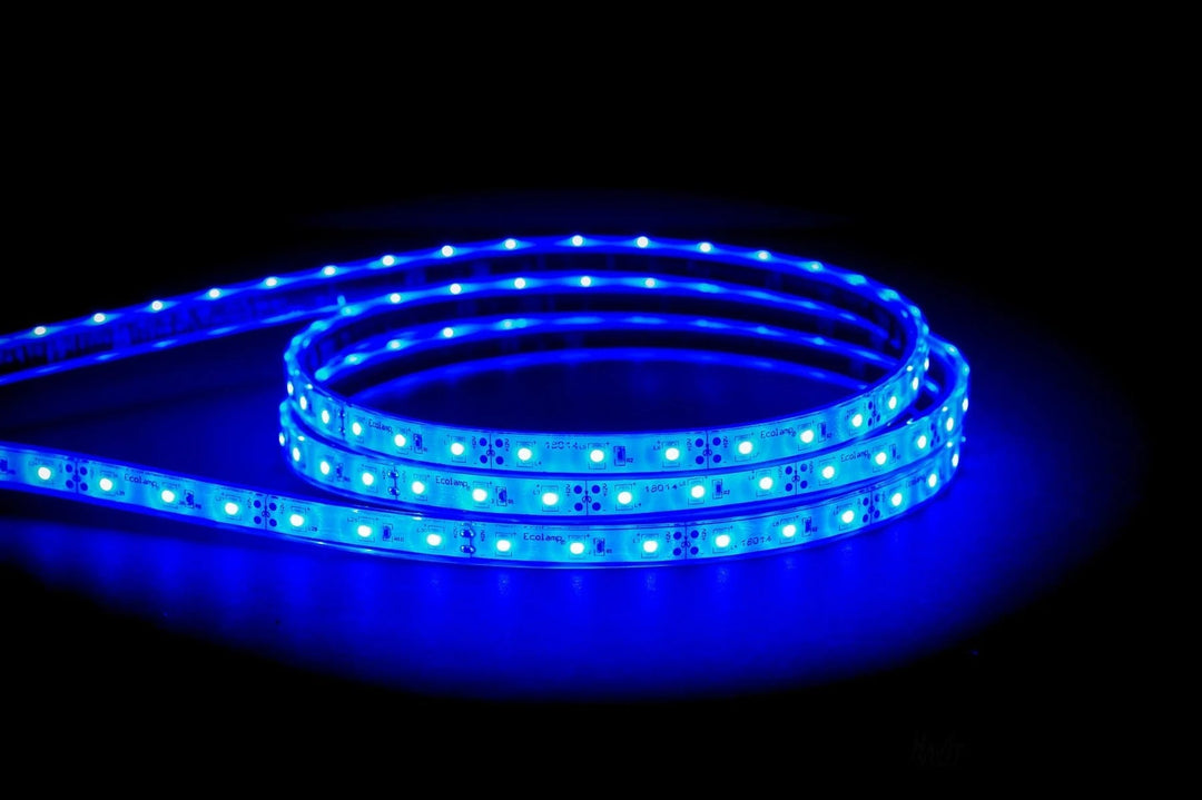 Havit STRIP-4.8-WP - 10 Metre Roll of 4.8W 12V 12mm 60 LED Weatherproof Strip Light IP67 - 12V DRIVER REQUIRED-Havit Lighting-Ozlighting.com.au