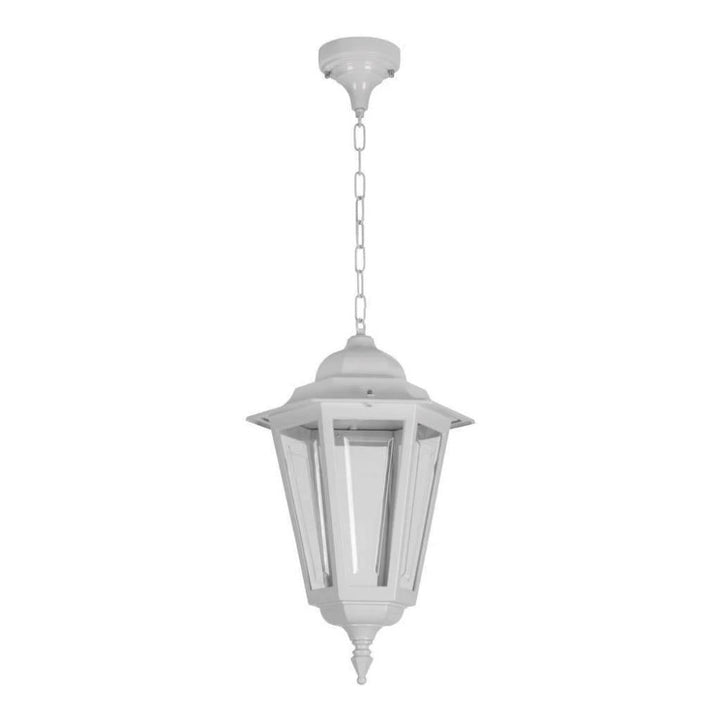 Domus GT-485 Turin Large - Exterior Pendant Light-Domus Lighting-Ozlighting.com.au