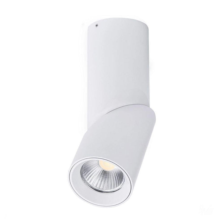 Havit NELLA - 7W/12W/18W/24W LED Tri-Colour Dimmable Adjustable Surface Mount Downlight IP54-Havit Lighting-Ozlighting.com.au