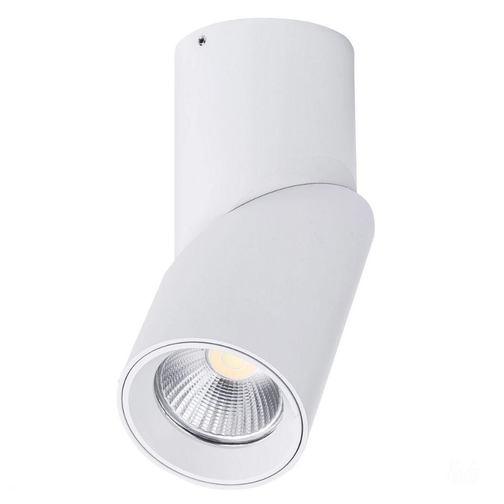 Havit NELLA - 7W/12W/18W/24W LED Tri-Colour Dimmable Adjustable Surface Mount Downlight IP54-Havit Lighting-Ozlighting.com.au