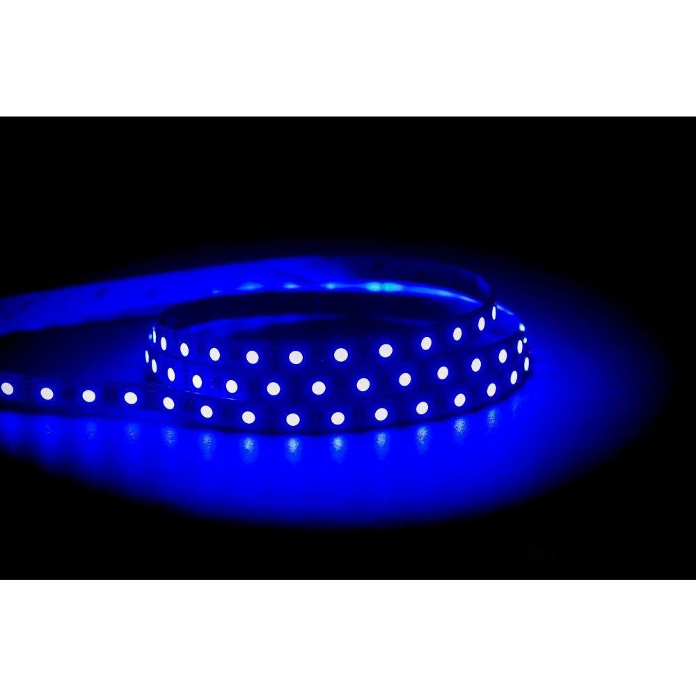 Havit STRIP-14.4-RGB+WW - 14.4W 12V 12mm 60 LED Strip Light Per Metre RGB+WW - 12V DRIVER REQUIRED-Havit Lighting-Ozlighting.com.au