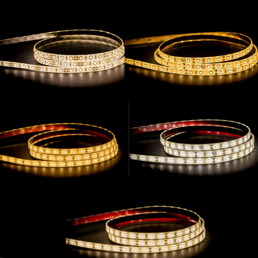 Havit STRIP-14.4-WP - 14.4W 12V 12mm 60 LED Strip Light IP54/IP67 Per Metre 3000/4000/5000K - 12V DRIVER REQUIRED-Havit Lighting-Ozlighting.com.au