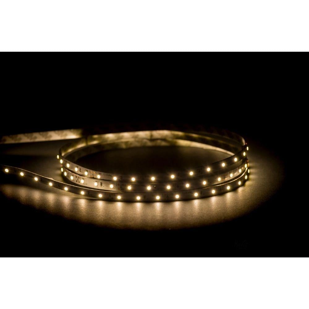 Havit STRIP-4.8-50M - 4.8W 12V 8mm 50m Roll LED Strip Light Roll IP20 - 12V DRIVER REQUIRED-Havit Lighting-Ozlighting.com.au