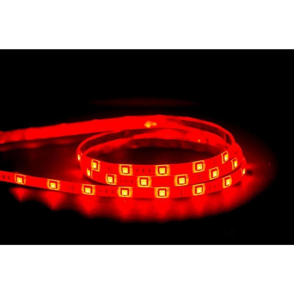 Havit STRIP-7.2-RGB-WP-EG - 7.2W 12V 12mm RGB LED Strip Light Per Metre IP54 - 12V DRIVER REQUIRED-Havit Lighting-Ozlighting.com.au