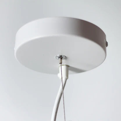 Lexi AILSA - 25W 6-Light Pendant Light-Lexi Lighting-Ozlighting.com.au