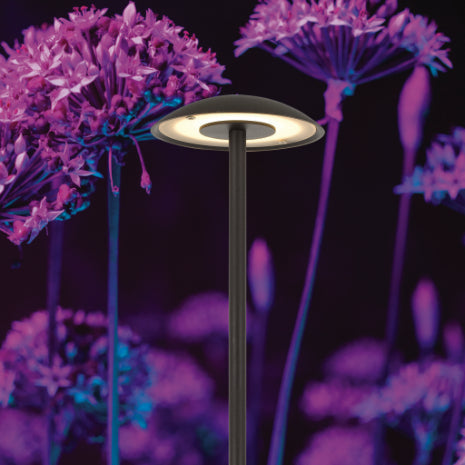 Telbix LUC - 3W 12/24V Exterior LED Garden Spike Light 3000K - DRIVER REQUIRED-Telbix-Ozlighting.com.au